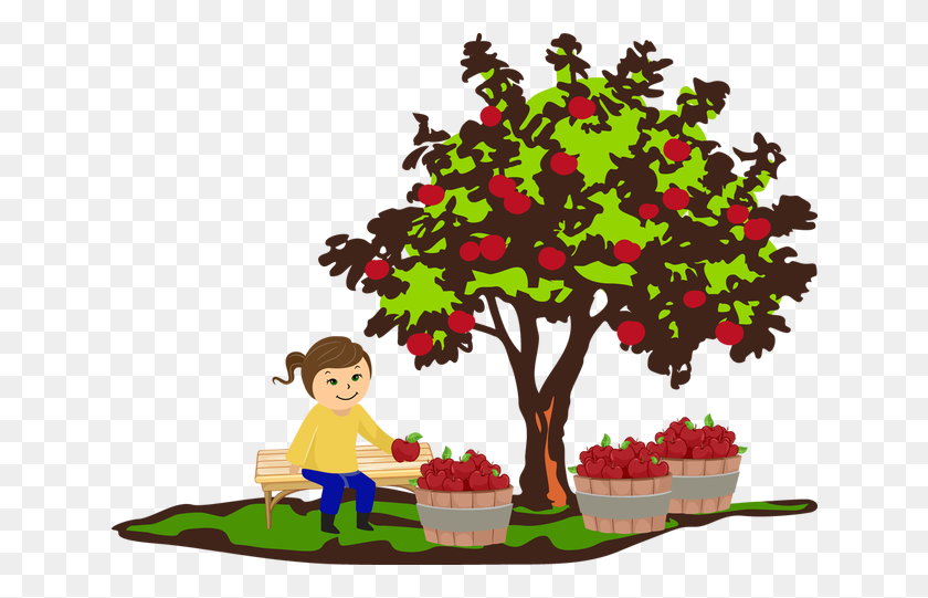 640x481 Apple Tree Clip Art - Fruit Tree Clipart