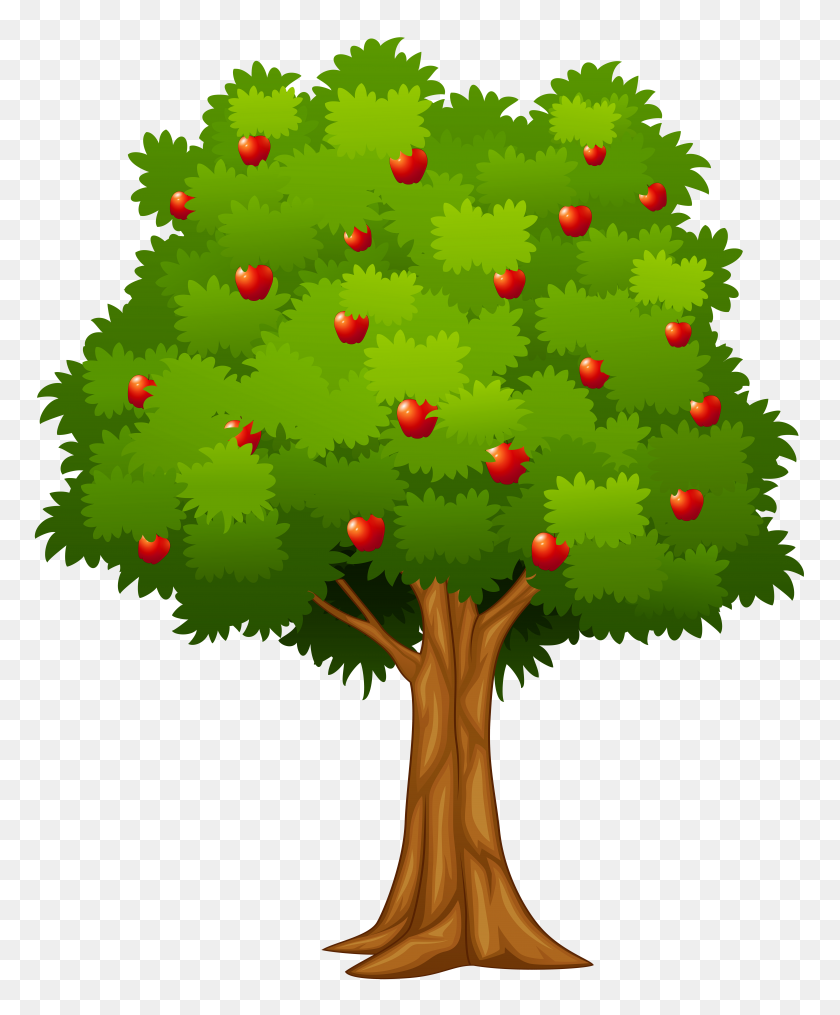 6532x8000 Apple Tree Png Clip Art - Tree Transparent Clipart
