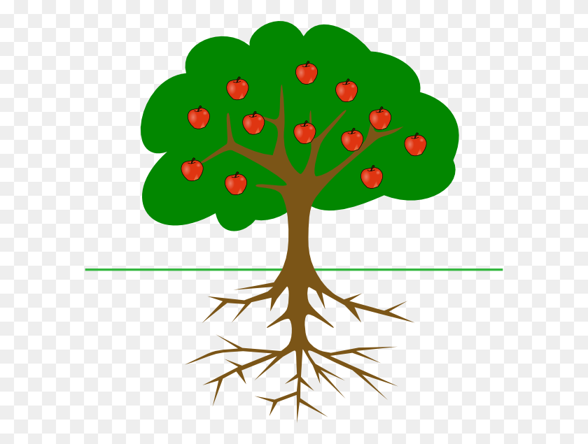 600x575 Apple Tree With Roots Clip Art - Roots Clipart