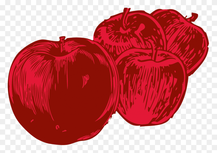 958x653 Apples Free Stock Photo Illustration Of Four Red Apples - Sliced Apple Clipart