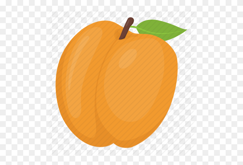 512x512 Apricot, Food, Fruit, Healthy Food, Peach Icon - Apricot PNG
