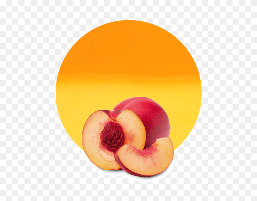 536x595 Apricot Nectarine Puree - Apricot PNG