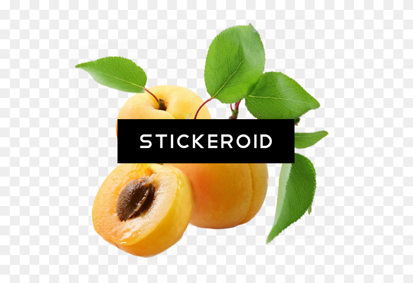 557x517 Apricot Png Clipart - Apricot PNG