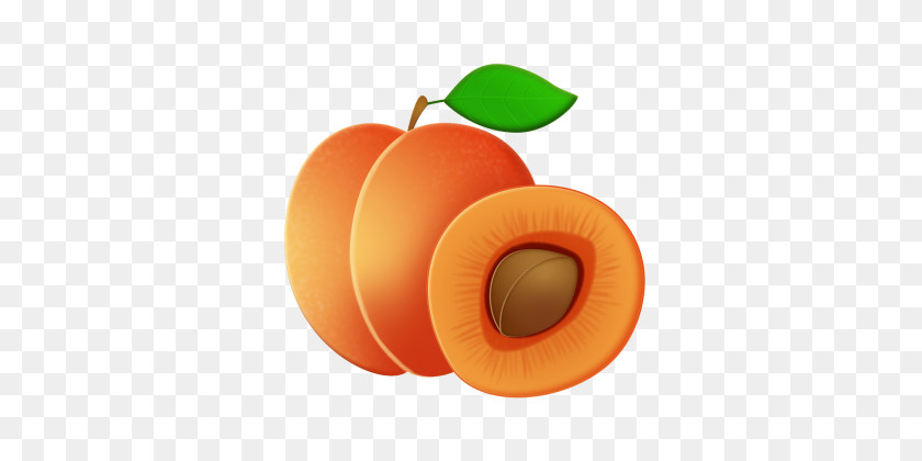 360x360 Apricot Png Images Vectors And Free Download - Apricot PNG