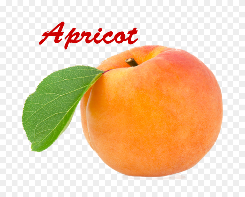 1513x1200 Apricot Png Picture - Apricot PNG