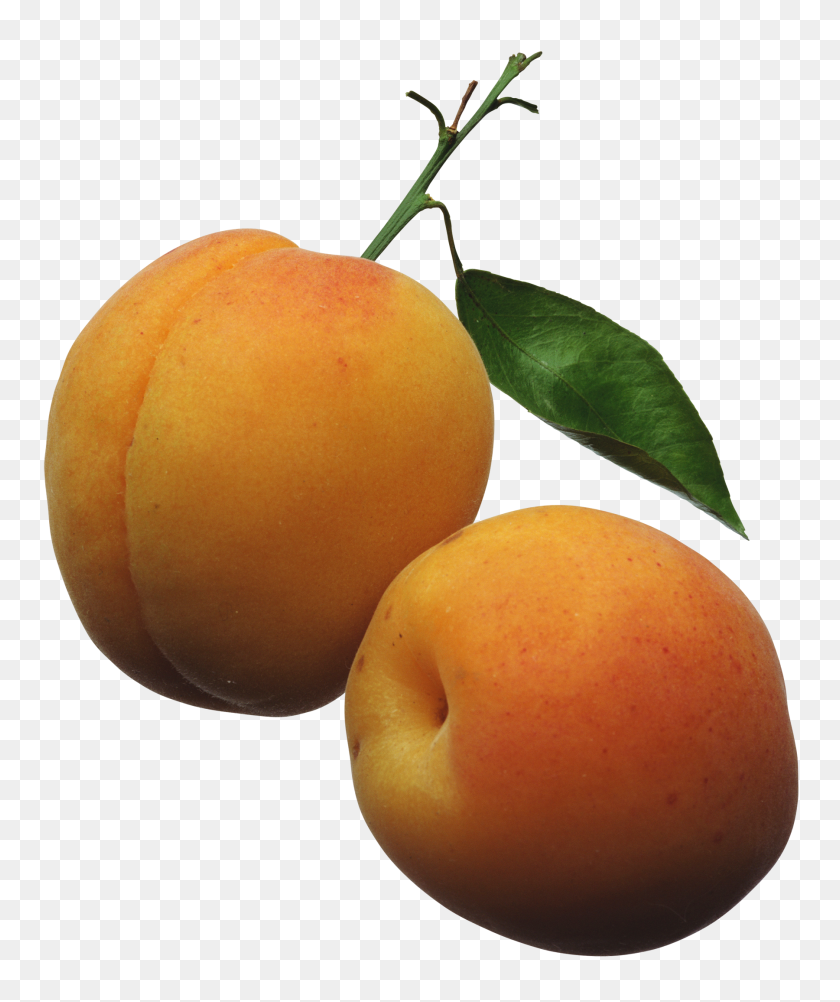 1800x2174 Apricots Png Clipart Picture Ovoce A Zelenina Clip - Veggies PNG