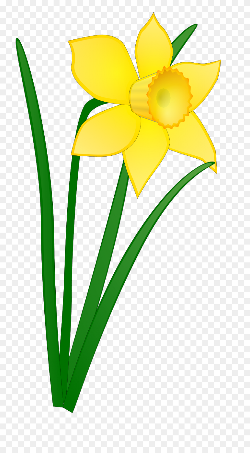 800x1497 April Flower Clipart - Spring Showers Clipart