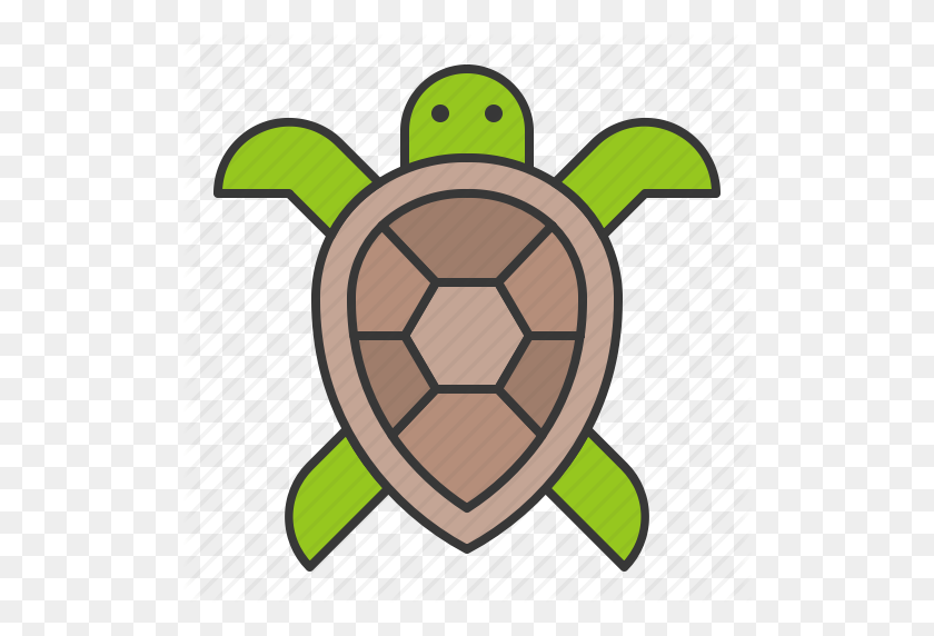 512x512 Aquatic Animal, Ocean, Sea, Turtle Icon - Sea Turtle PNG