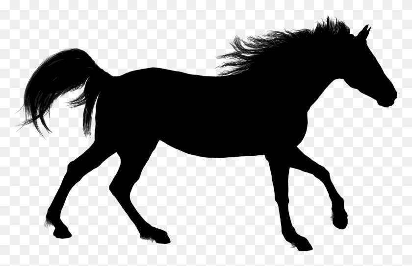 1211x750 Arabian Horse American Paint Horse Silhouette Equestrian Horse - Racehorse Clipart