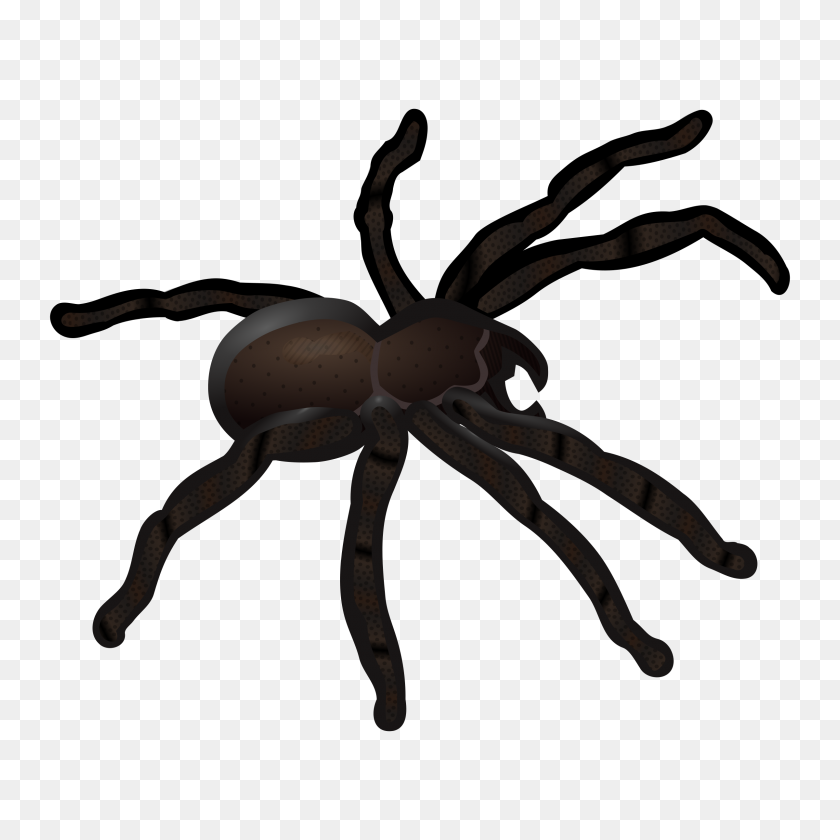 2400x2400 Arachnid Clipart Arthropod - Scorpio Clipart