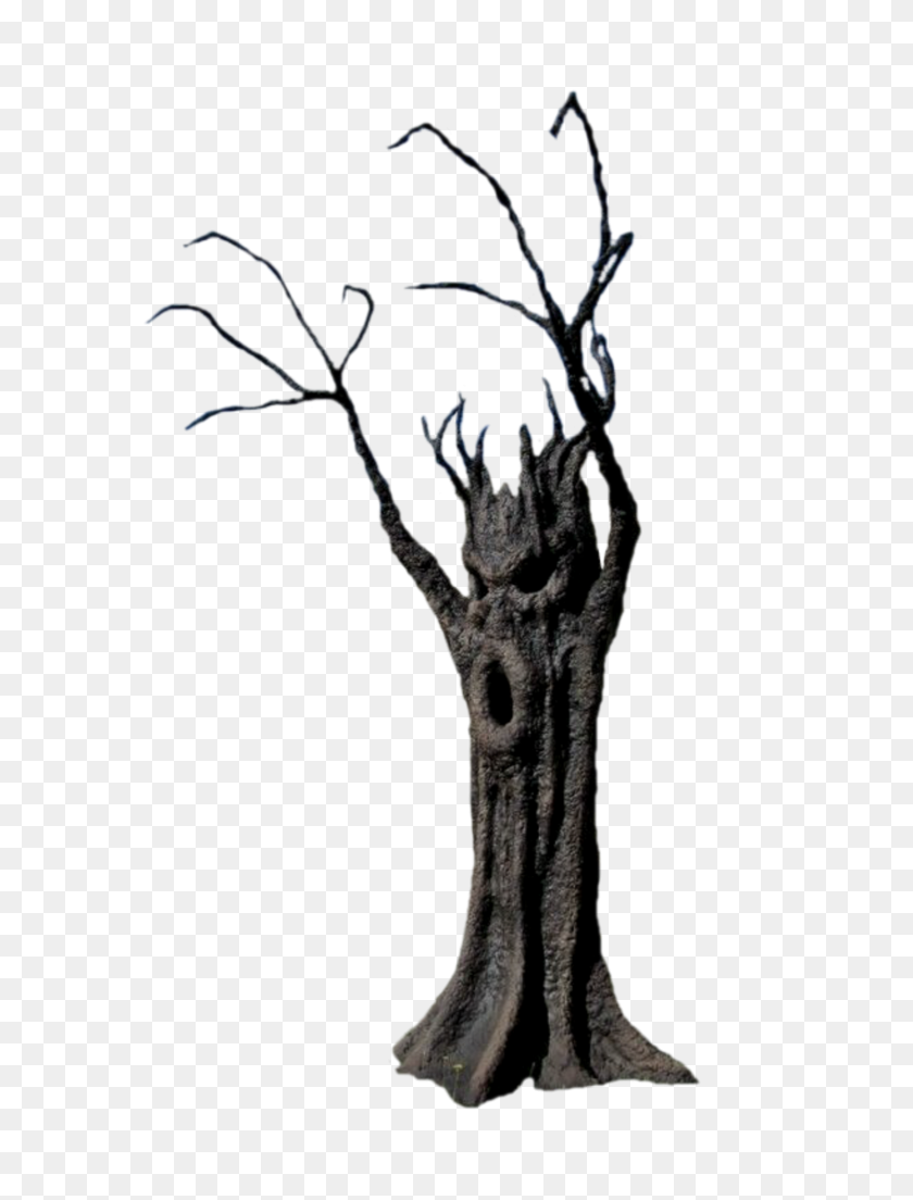 765x1044 Arbol Tree Terror Tronco Spooky - Arbol PNG