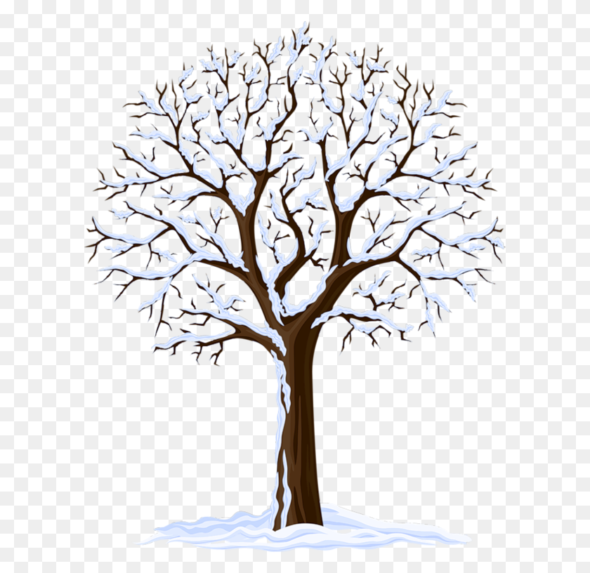 600x756 Arbre, Png, Tree, Arbres Christmas - Снежный Клипарт Png