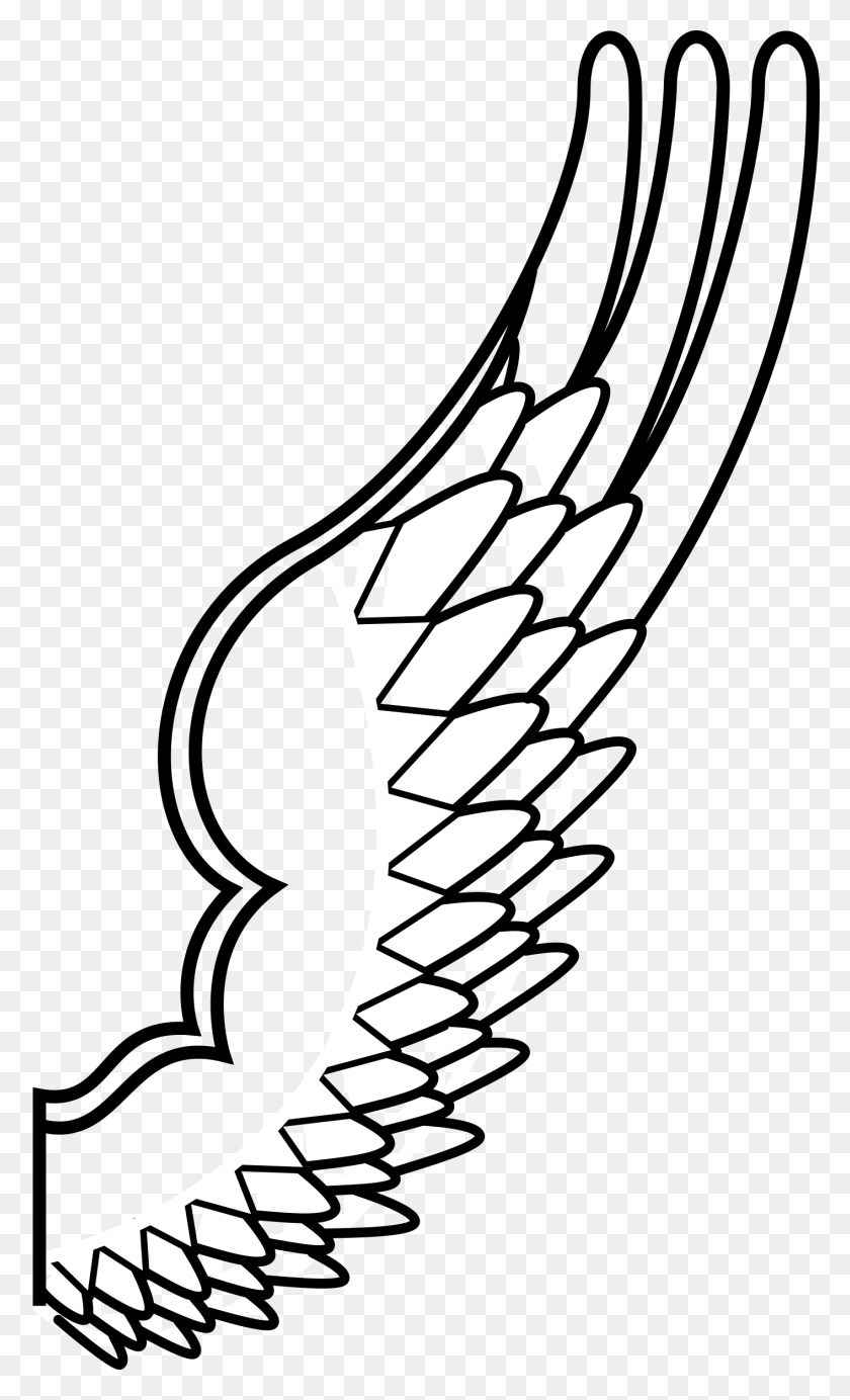 1413x2400 Archaic Drawing Of A Bird Wing Icons Png - Bird Wings PNG