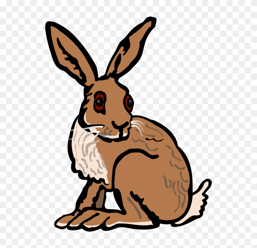 592x750 Arctic Hare European Hare European Rabbit Snowshoe Hare Domestic - Rabbit Clip Art