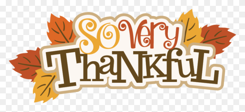 800x333 Are You Thankful For Your Donors Ann Green's Nonprofit Blog - Thankful PNG