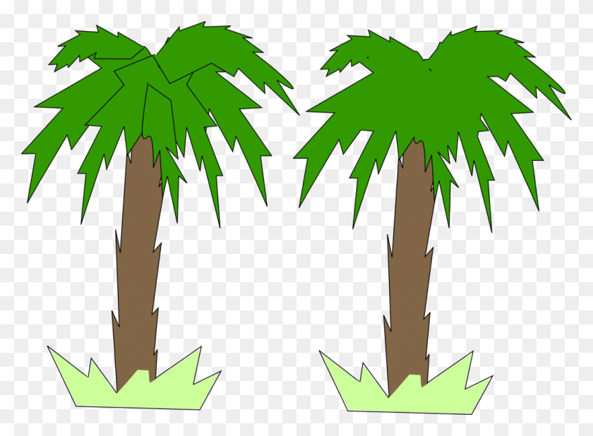 1048x750 Arecaceae Tree Computer Graphics Two Dimensional Space Coconut - Palm Tree With Coconuts Clipart