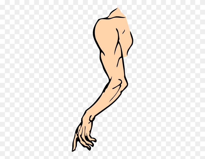 252x592 Arm Cliparts - Muscle Arm Clipart