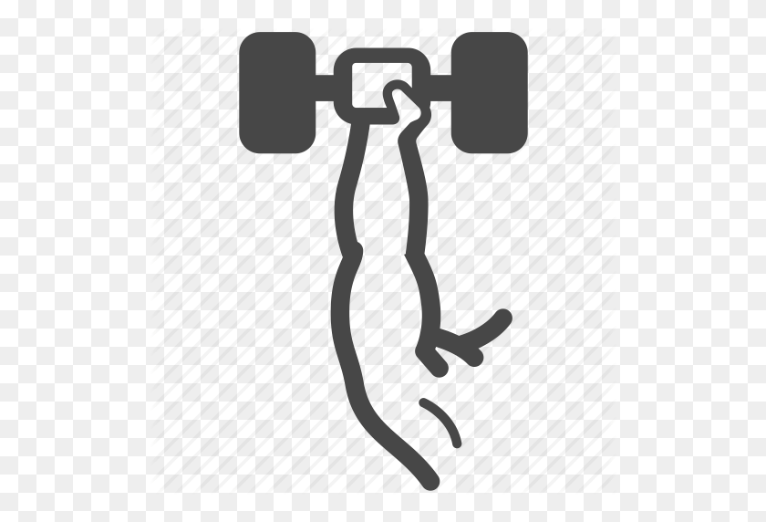 Arm, Exercise, Fitness, Gym, Shoulder, Training, Workout Icon - Fitness Icon PNG