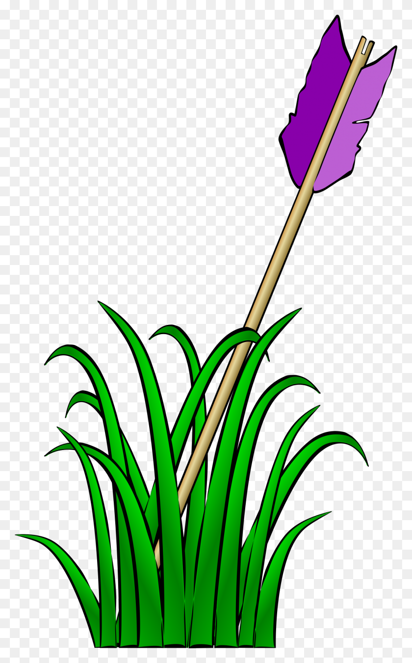 1449x2400 Arrow In The Grass Icons Png - Grass PNG