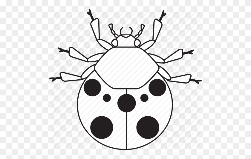512x473 Art, Bug, Bugs, Bw, Graphic, Insect, Ladybug Icon - Ladybug Black And White Clipart