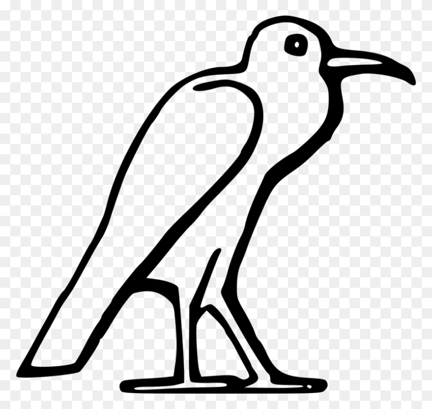 794x750 Art Of Ancient Egypt Bird Drawing - Bird Feeder Clipart