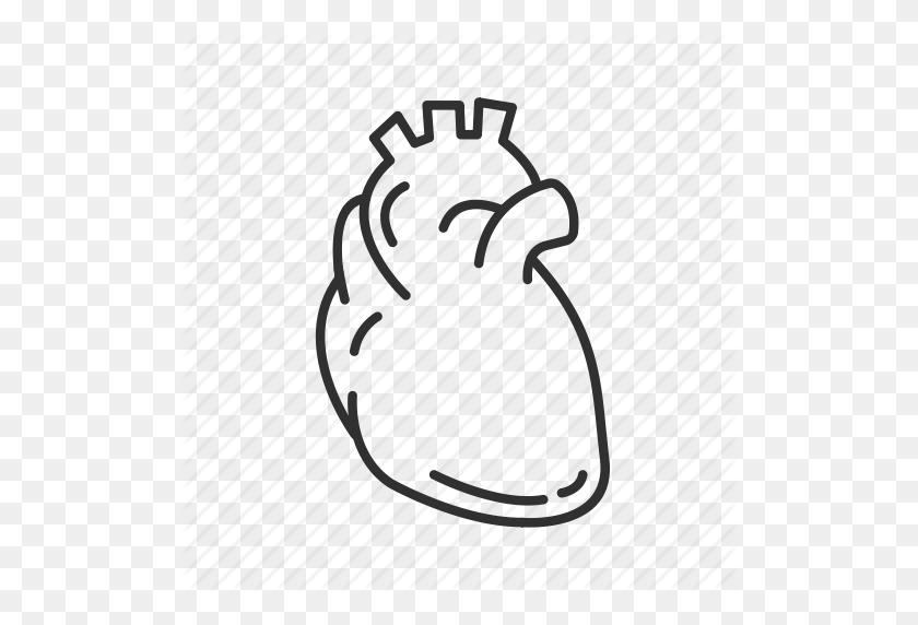 512x512 Arteries, Cardiovascular System, Circulatory Pump, Heart, Human - Veins PNG