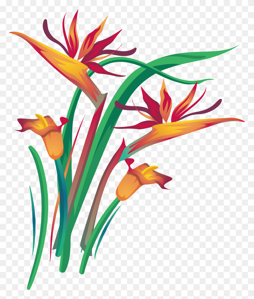 2171x2587 Arum Lily Diseño Floral Clipart - Calla Lily Clipart