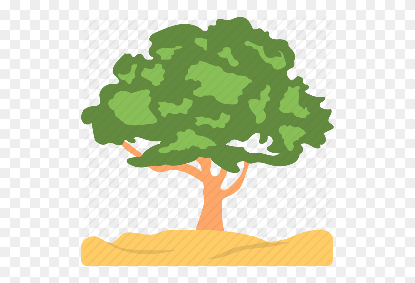 512x512 Ash Tree, Evergreen, Foliage, Greenery, Nature Icon - Greenery Clipart