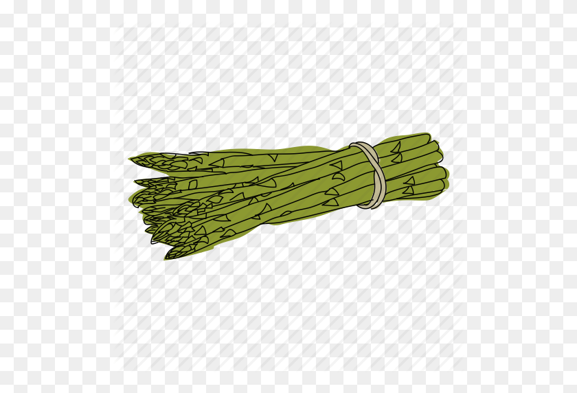512x512 Asparagus, Color, Food, Hand Drawn, Health, Vegetable, Vegetarian Icon - Asparagus PNG