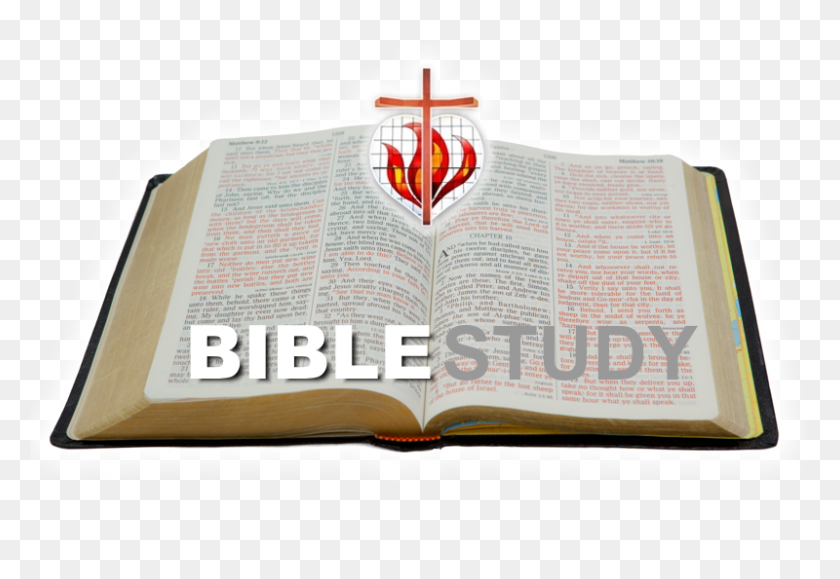 800x533 Attend A Bible Study Life In Christ Lutheran Church Peoria - Bible Study PNG