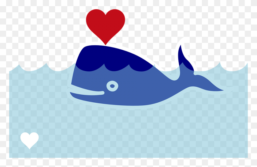 960x598 Attracting Whales Big Spenders - Webcam Clipart