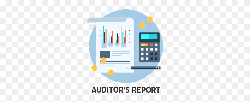 258x284 Auditor's Report Rikvin - Financial Statement Clipart