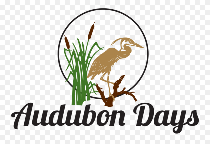 1000x662 Audubon Days - Beaver Dam Clipart