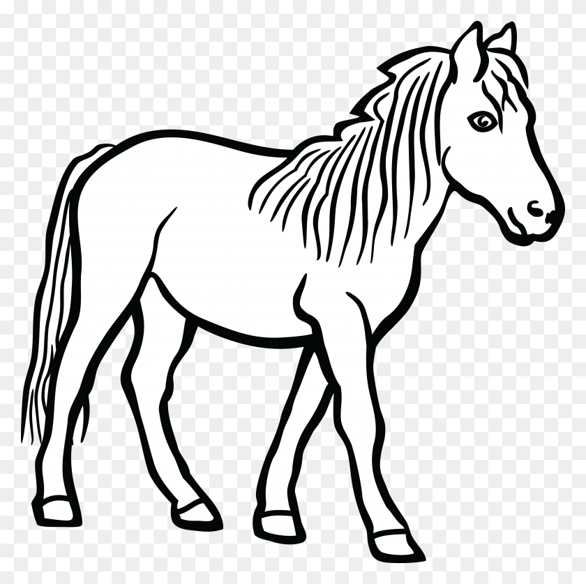 4000x3991 Ausmalbild Линии Искусства Лошадь Картинки - Черная Лошадь Клипарт