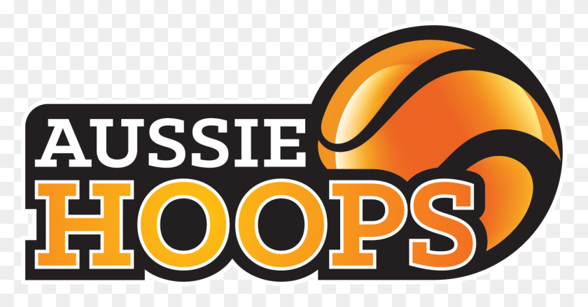 1312x638 Aussie Hoops - Basketball Net PNG