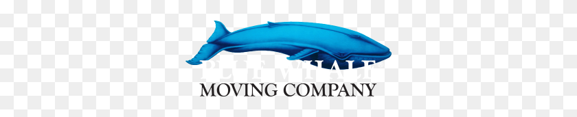 300x111 Austin Movers - Blue Whale PNG