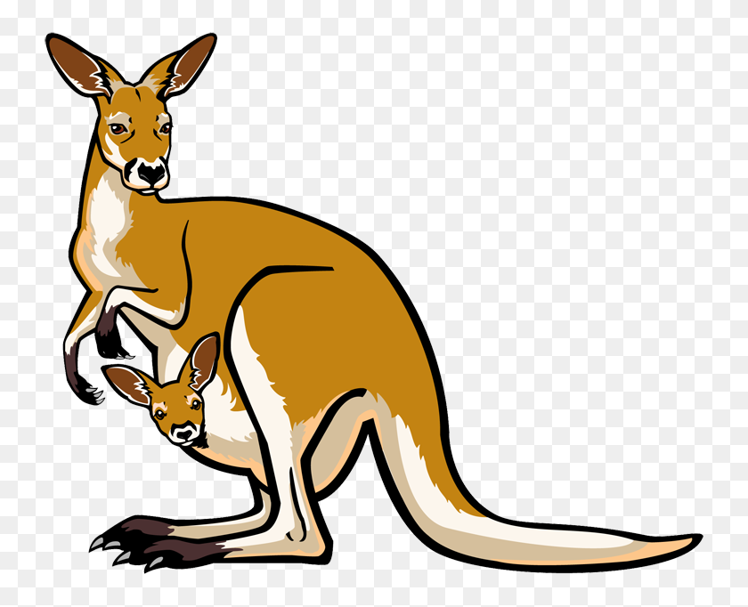 750x622 Australia Clipart Australia Kangaroo Clipart - Australia Clipart