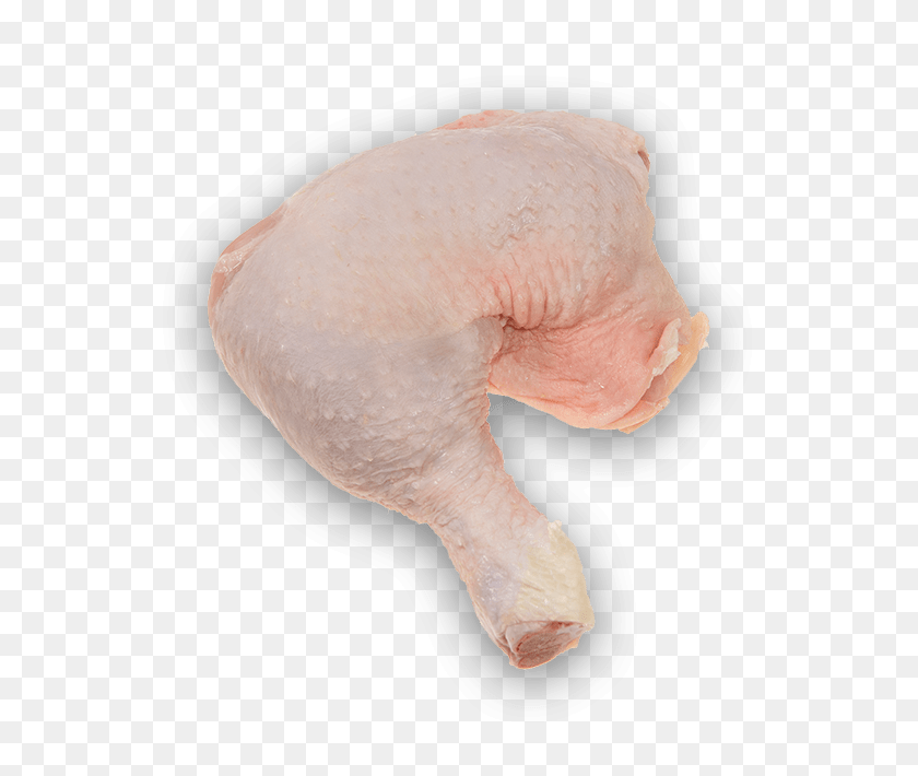650x650 Australian Wholesale Meats - Chicken Leg PNG