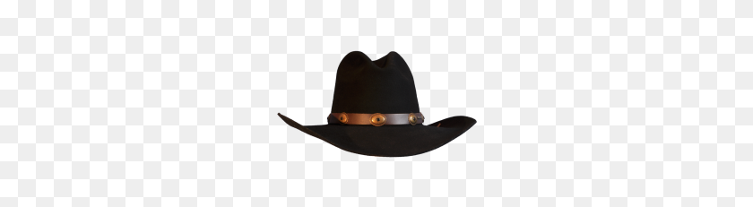 228x171 Author - Cowboy Hat PNG Transparent