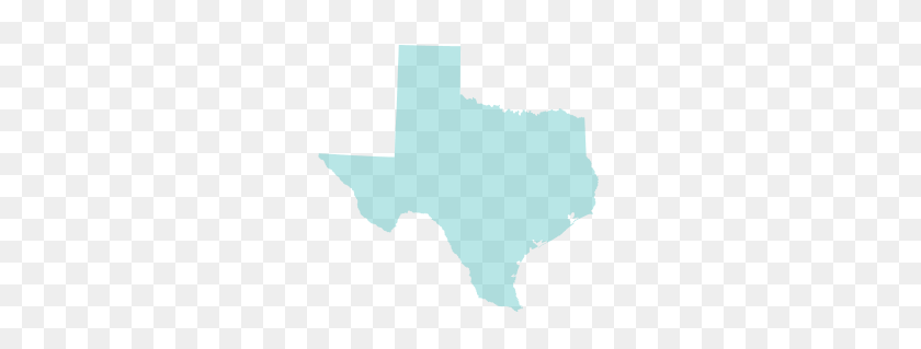 259x259 Autism Circuit - Texas Shape PNG