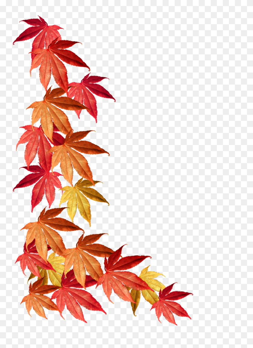 787x1102 Autumn Border Clipart Free Download Best On Stuning Fall Leaves - Welcome Fall Clipart