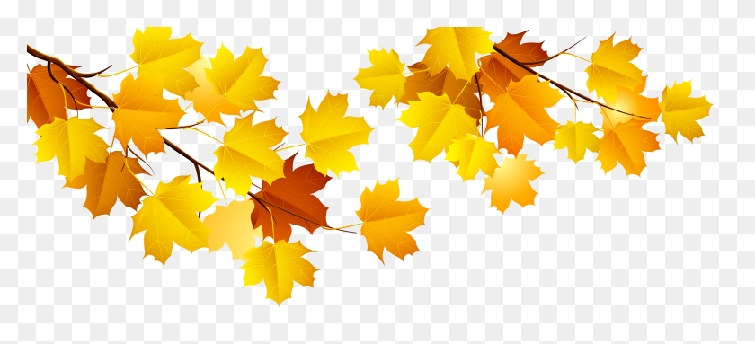 5562x2304 Autumn Branches Cliparts - Tree Branch PNG