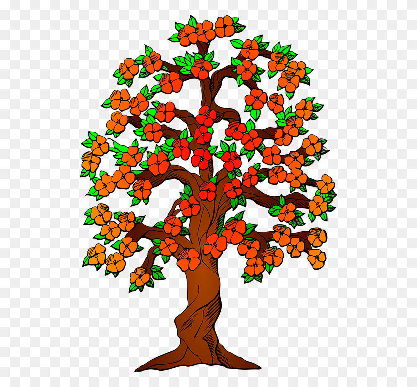 517x720 Autumn Fall Tree Leaves Colorful Fall Colors - Family Tree Clipart PNG
