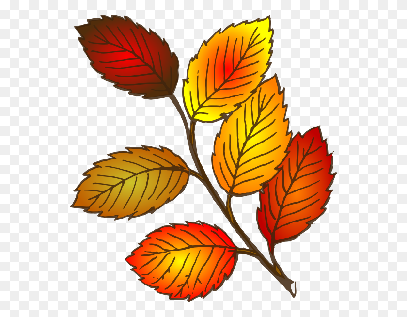 552x594 Autumn Leaf Clip Art - Fall Leaves Clipart PNG