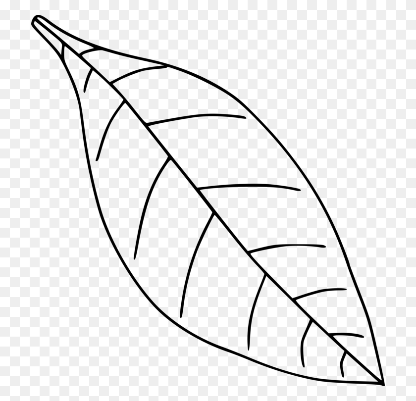 714x750 Autumn Leaf Color Drawing Black And White - Water Cup Clipart