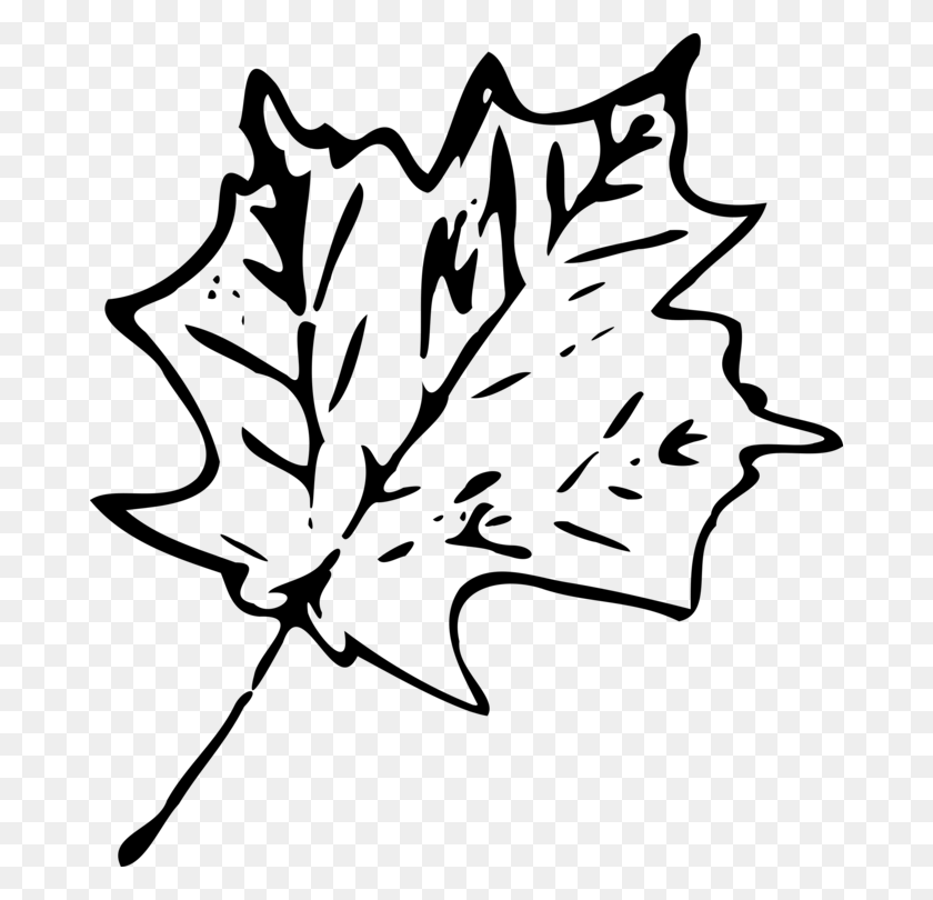 678x750 Осенний Лист Цветной Рисунок Кленовый Лист - Дерево Клипарт Черный И Белый Без Листьев