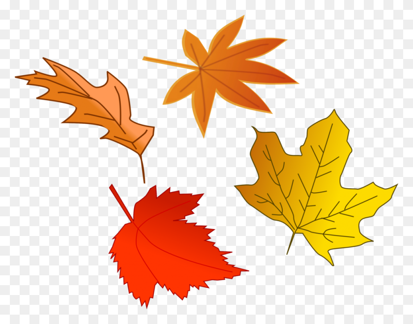 976x750 Autumn Leaf Color Green Yellow - Thanksgiving Leaves Clipart