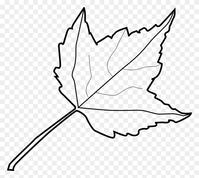 843x750 Осенний Цвет Листьев Белый Кленовый Лист - Осенние Листья Черно-Белые Клипарт