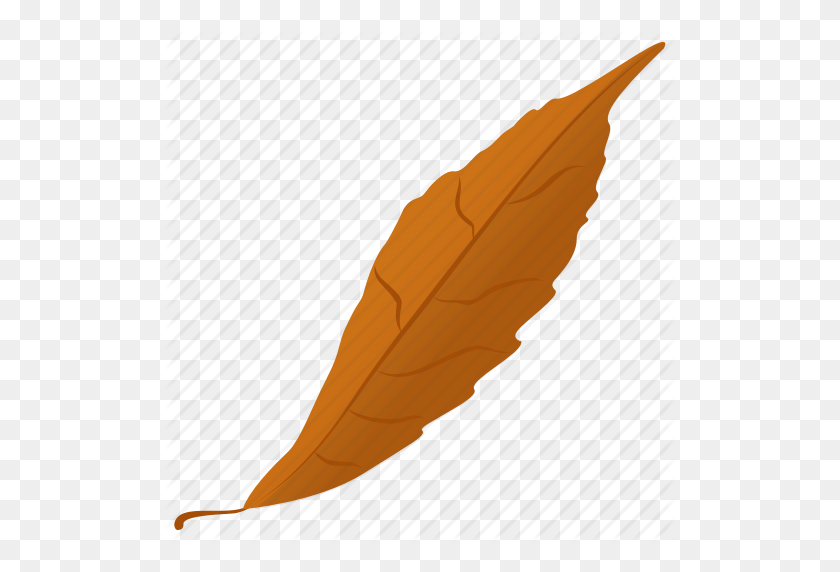512x512 Осенний Лист, Осенний Лист, Листва, Обычный Лист, Значок Листа - Осенние Листья Png
