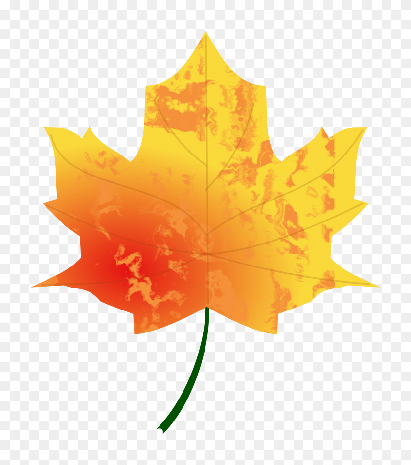 2101x2400 Autumn Leaf Icons Png - Fall Leaf PNG